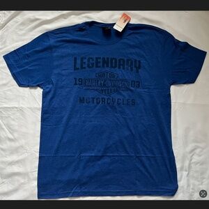 Harley Davidson Blue Logo Skull T-shirt Men’s XL